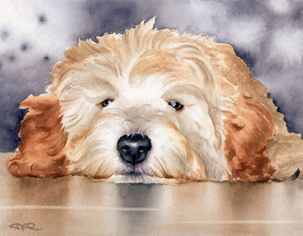 Golden doodle artwork 6
