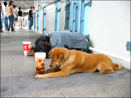 A beggar’s faithful dog