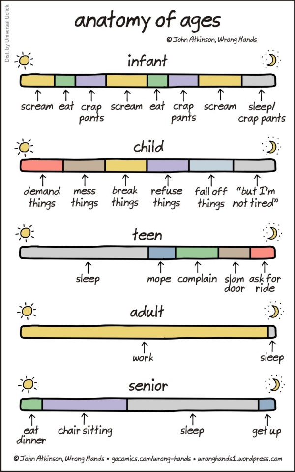 Anatomy of Ages