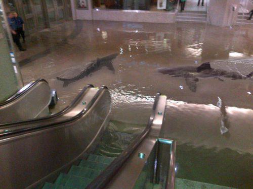 Dont take the escalator down