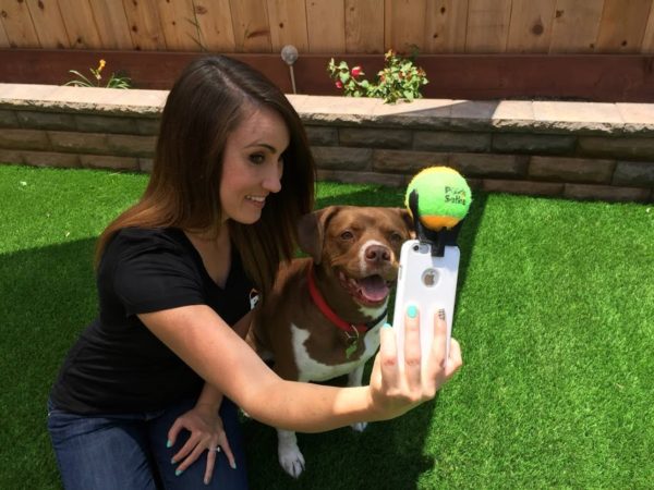 How to get a good selfie for your dog