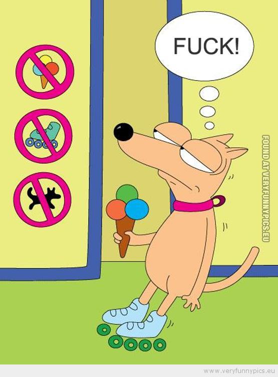 No ice-cream dog on skates allowed