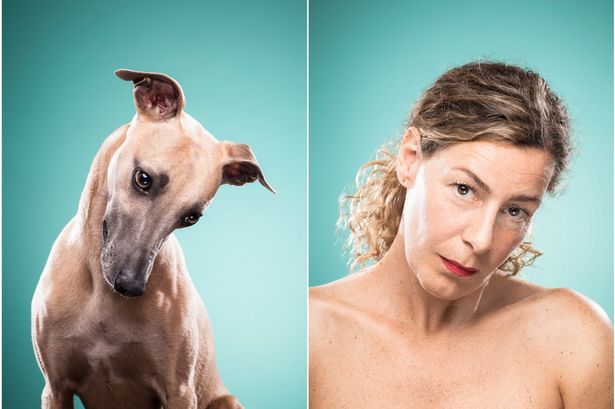 pay-dog-owner-portraits