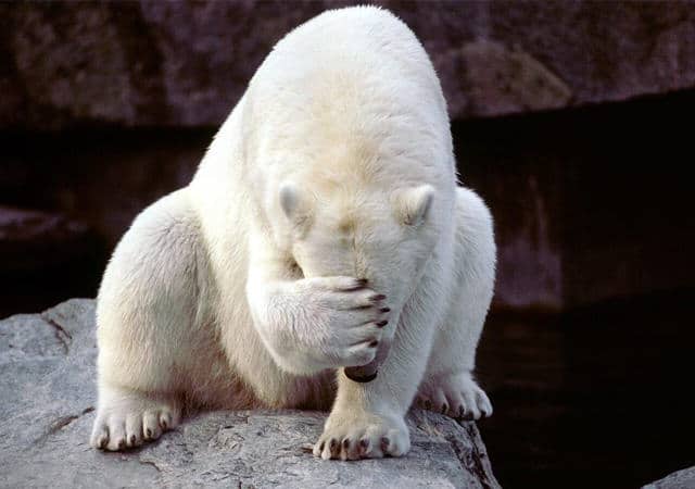 Please dont take my picture