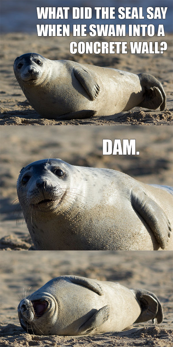 Seal Joke