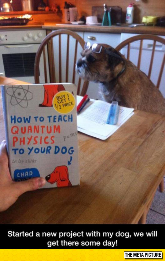 Teaching your dog quantum physics