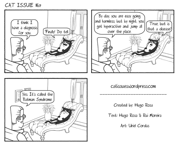 The Dark Knight Meows!