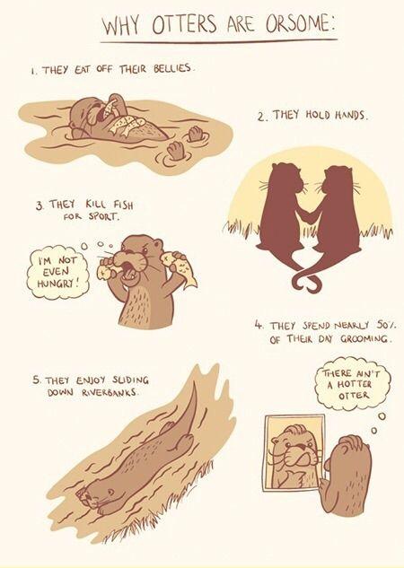 Why Otters are orsome