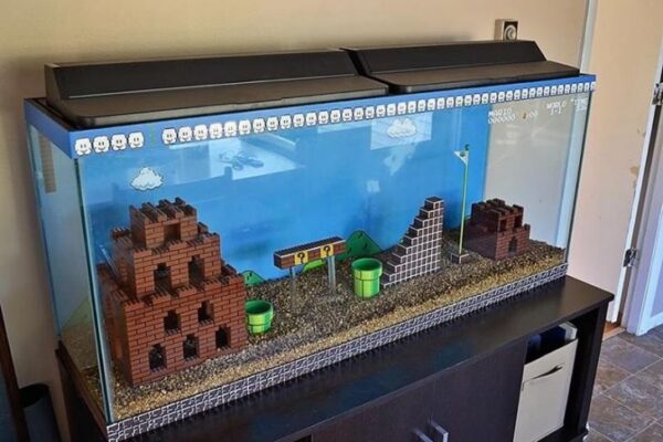 Best Super mario aquarium ever