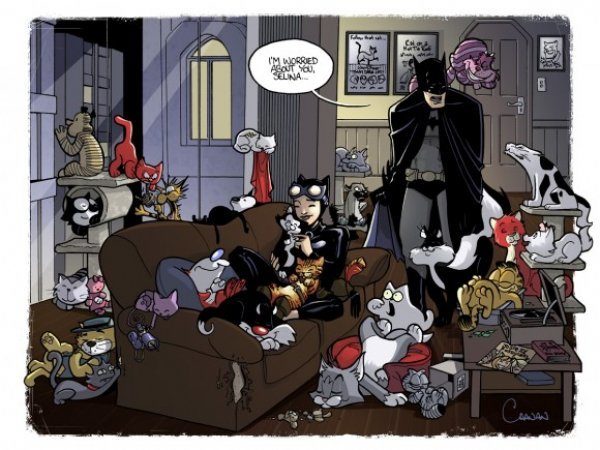Catwoman just loves cats