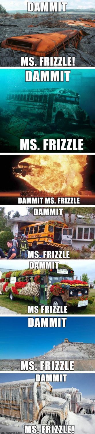 Dammit Ms Frizzle