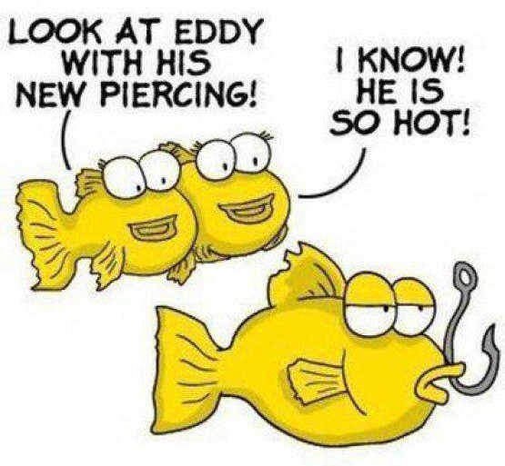 Fish new hook piercing