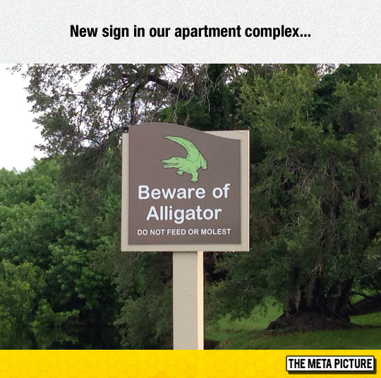 Funny alligator sign
