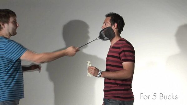 Hit me in the face with a swatter for 5 bucks