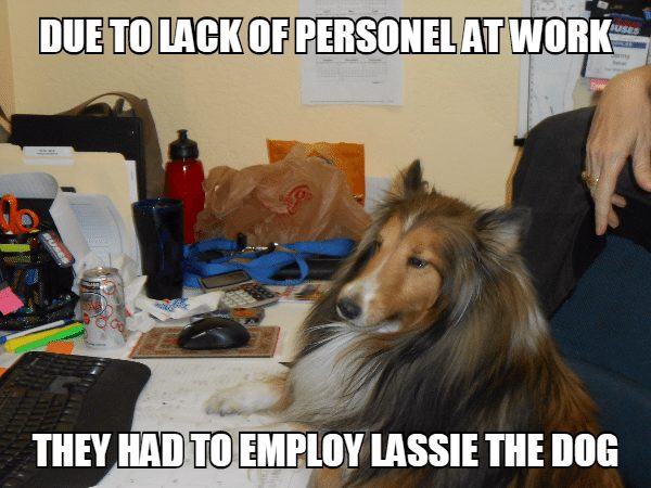 New recruit at work