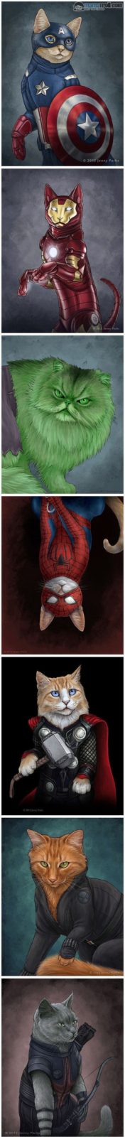 Super Marvel cats