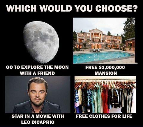 Which would you choose