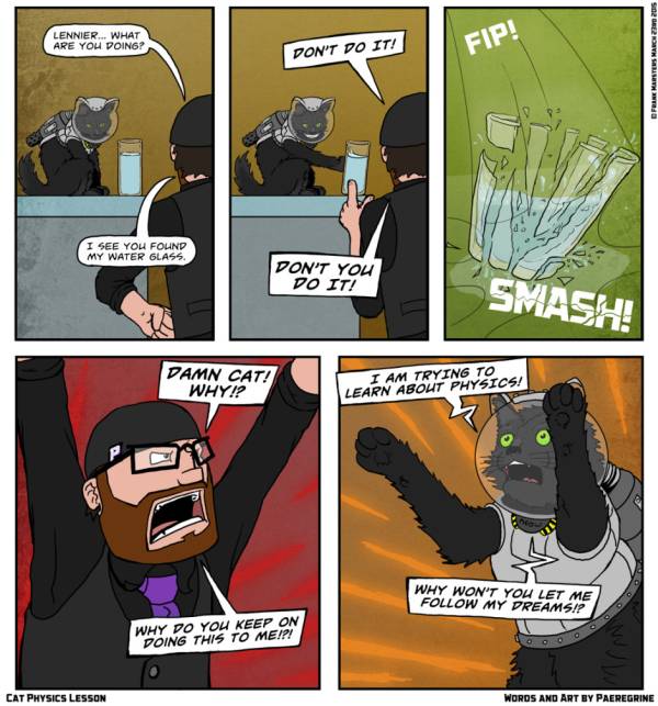 Why Cats Knock Stuff Down on the Floor