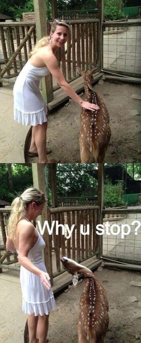 Why you stop
