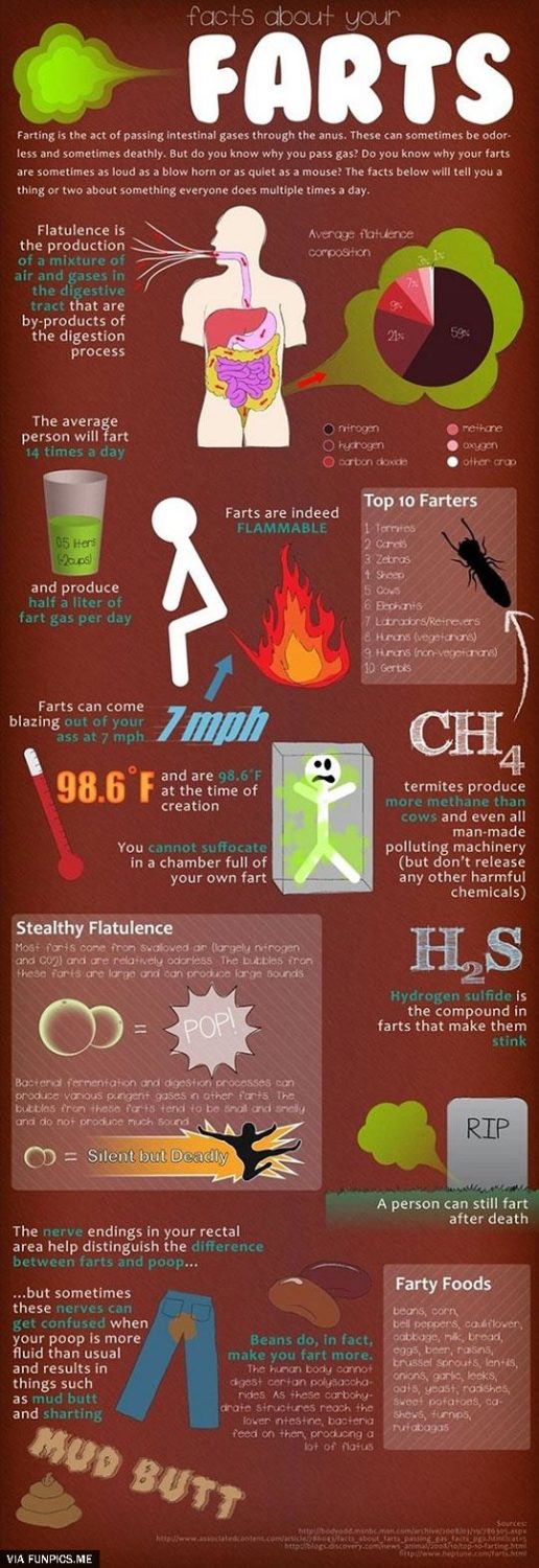 Facts about your farts