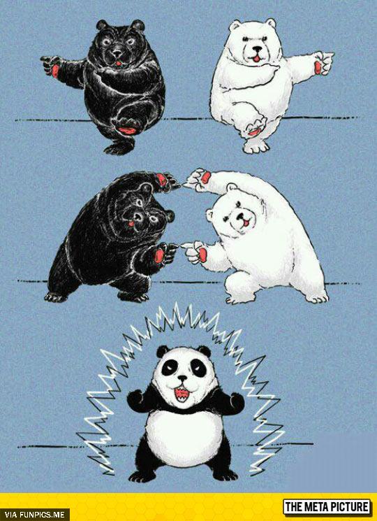 How Pandas Are Made