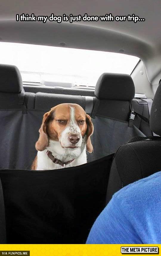 Maybe he knows we are going to the vet