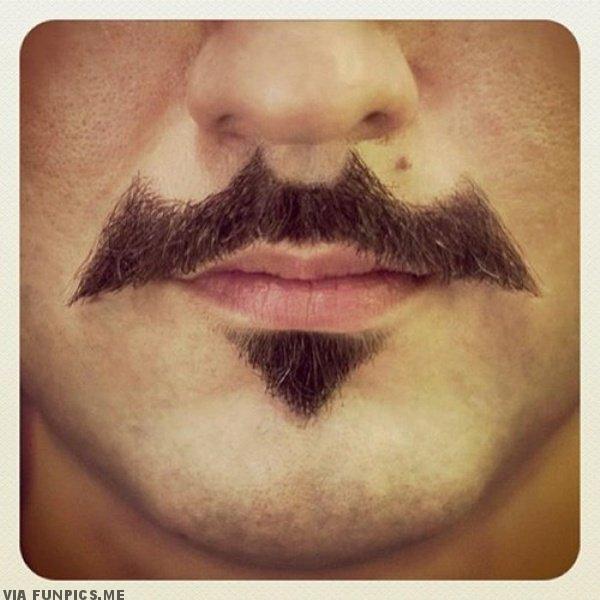 The batstache