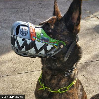 dog muzzles 4