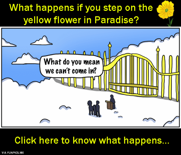 Step on the yellow flower