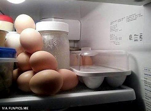 Asked husband to put eggs in the fridge