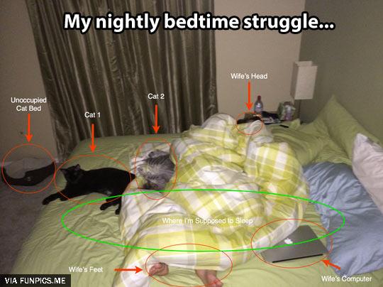 My nightly bedtime struggle