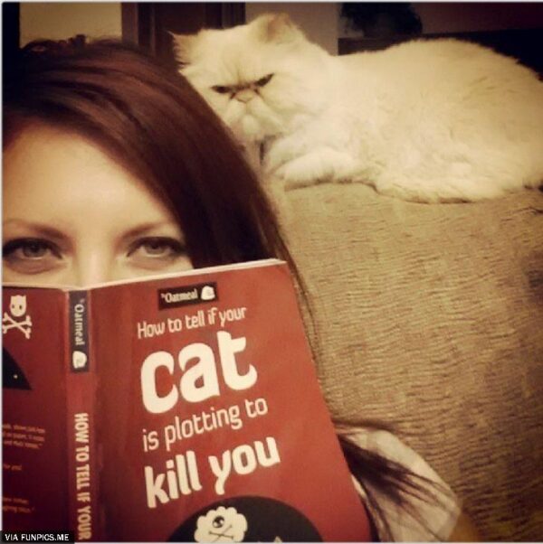 Stop reading and look behind you