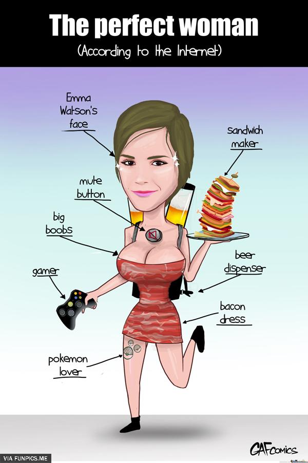 The perfect women (Source is GAFcomics)