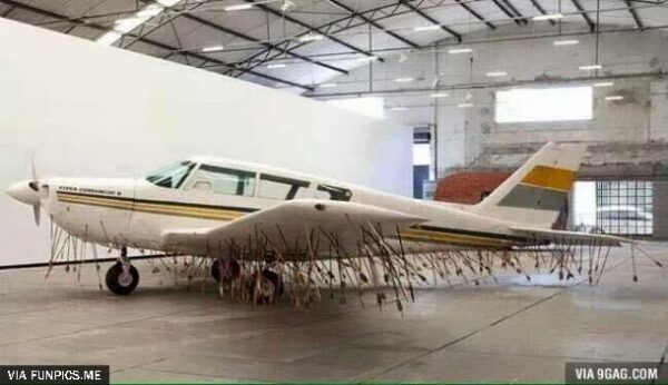 Which part of no-fly zone don’t you understand