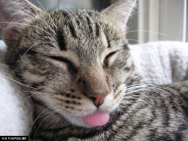 tongue17