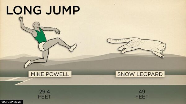 human-ability-animals-2534360