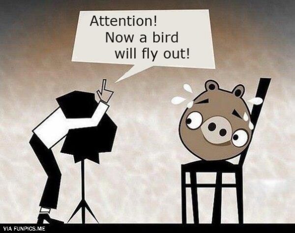 A bird will fly out