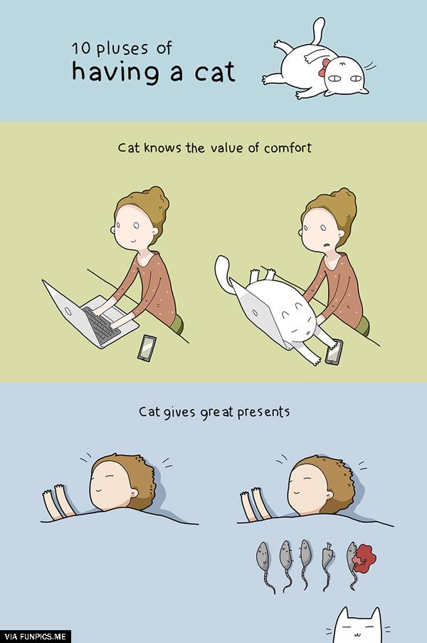 cats are good pets 1 (3)