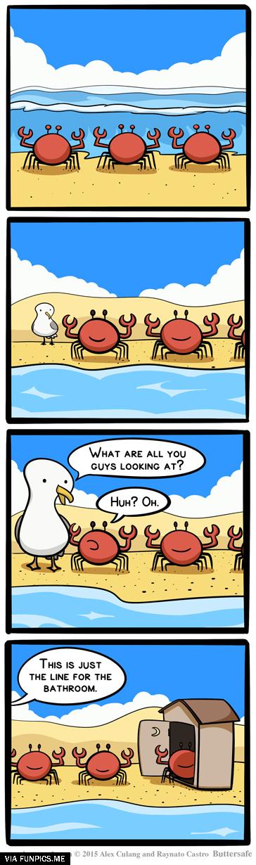 Crabs in line