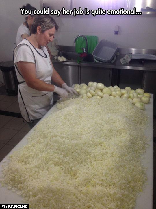 Her Job is quite emotional -cutting onions
