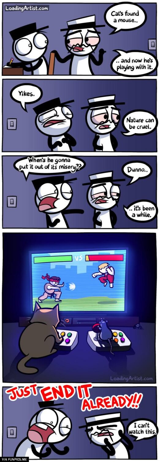 Cats found a mouse to play with