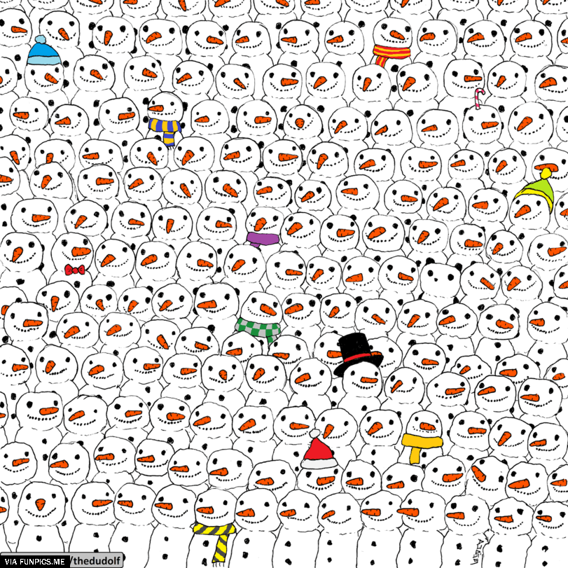 spot the panda