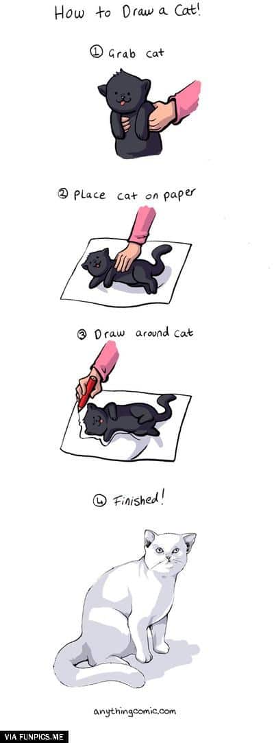 4 easy steps to draw a cat