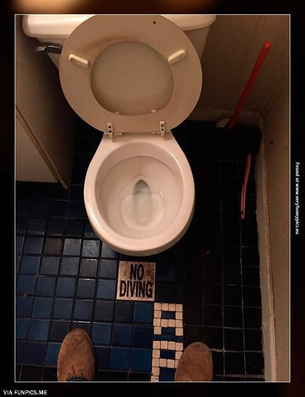 No diving in toilet