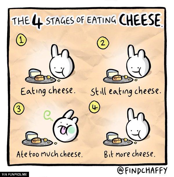 The 4 stages of eating cheese