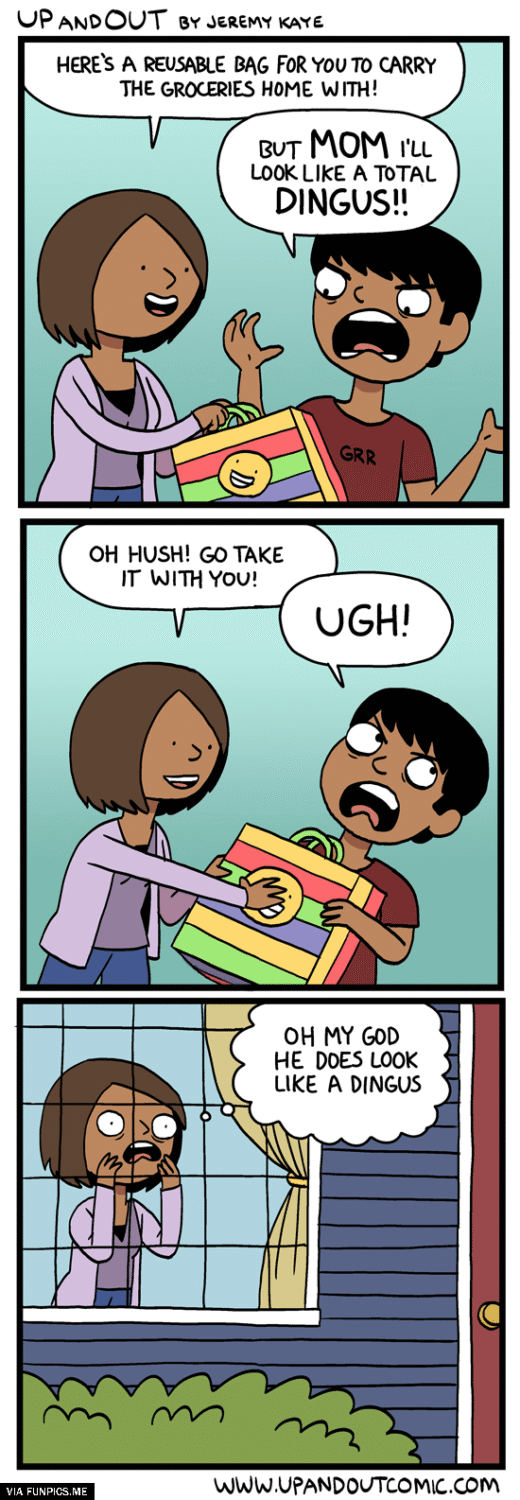 I will look like a Dingus