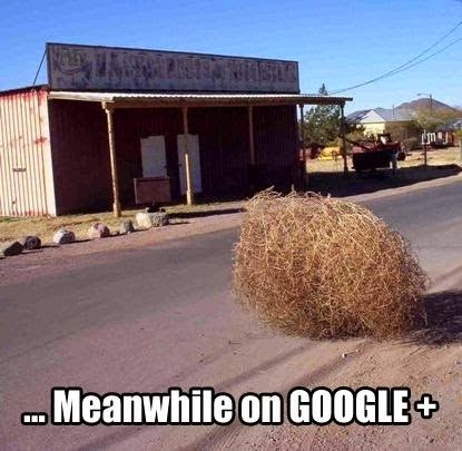 Meanwhile on Google+