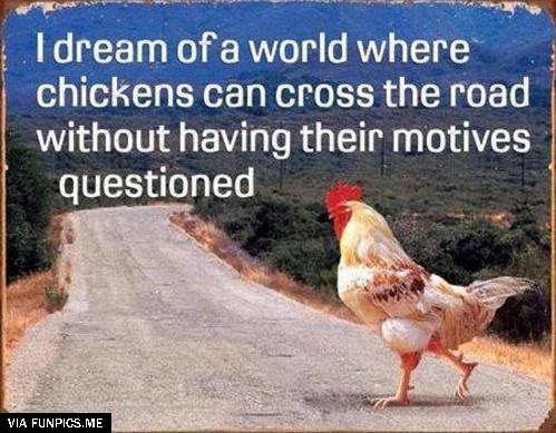The dream of a chicken