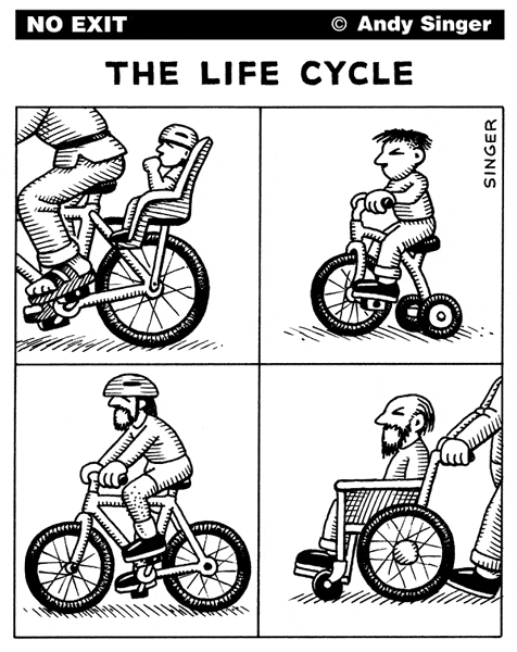 The life cycle