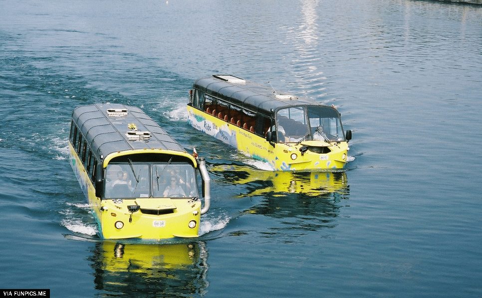 unconventional bus 7